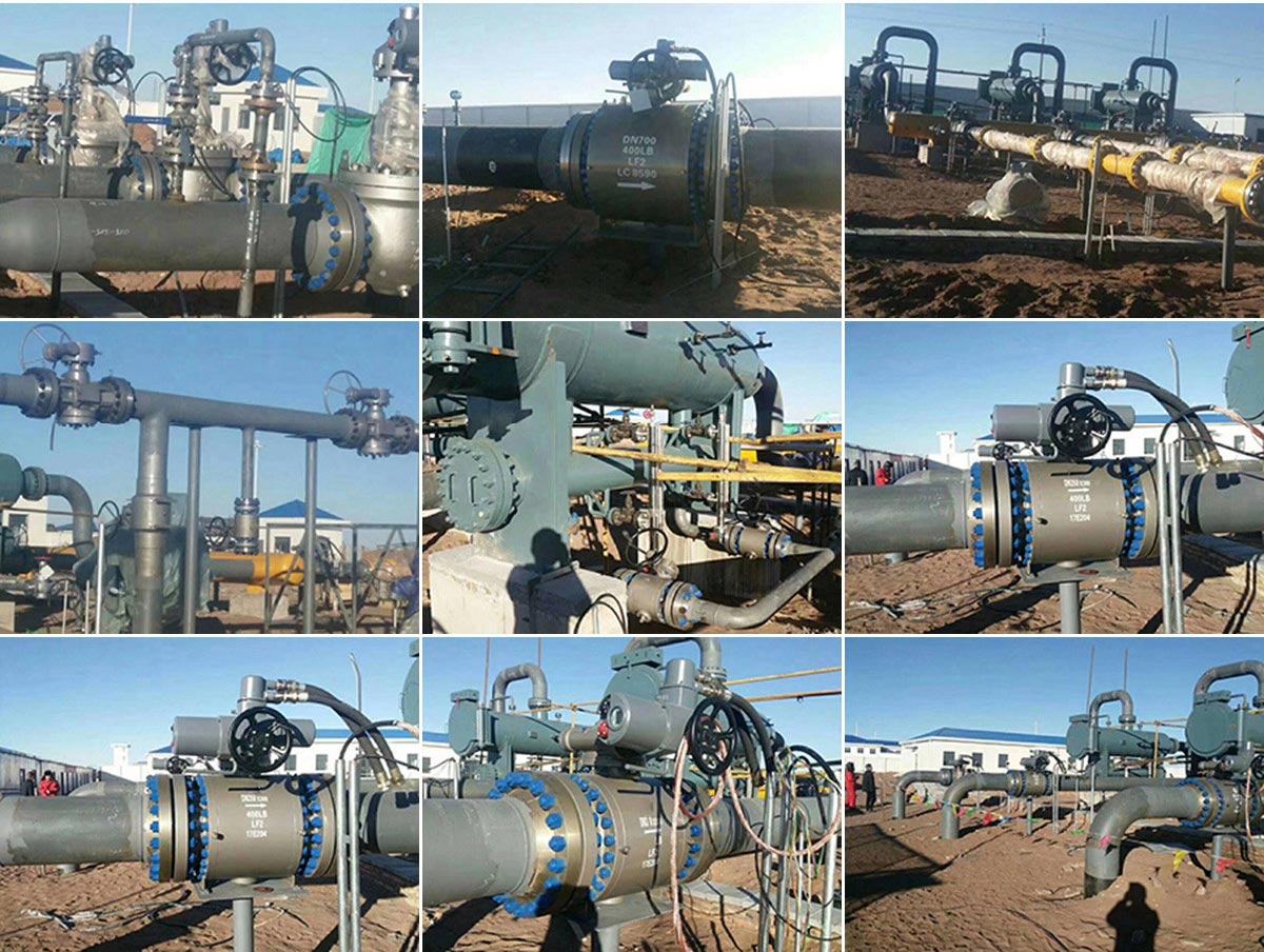 俄罗斯专享会294(中国游)官方网站